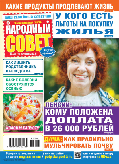 Народный совет №41/2023