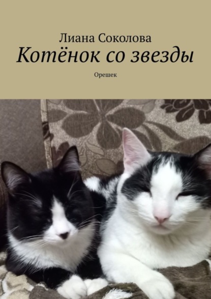 Скачать книгу Котёнок со звезды. Орешек