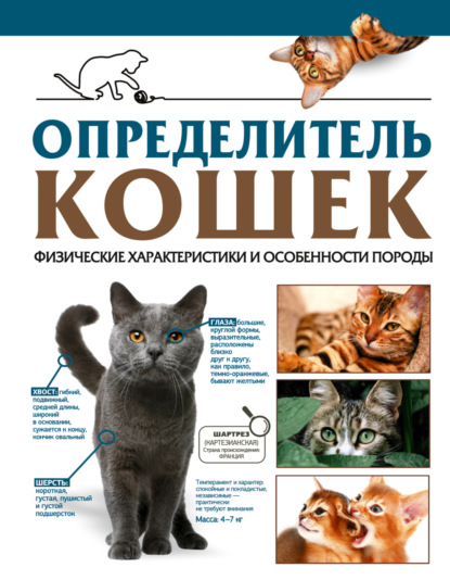 Скачать книгу Определитель кошек. Физические характеристики и особенности породы