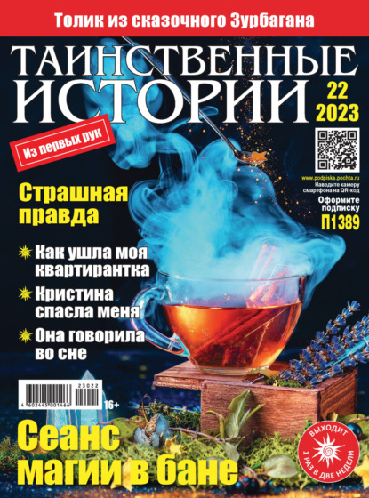 Скачать книгу Таинственные истории №22/2023