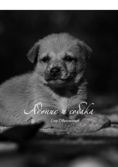 Скачать книгу Адонис и собака