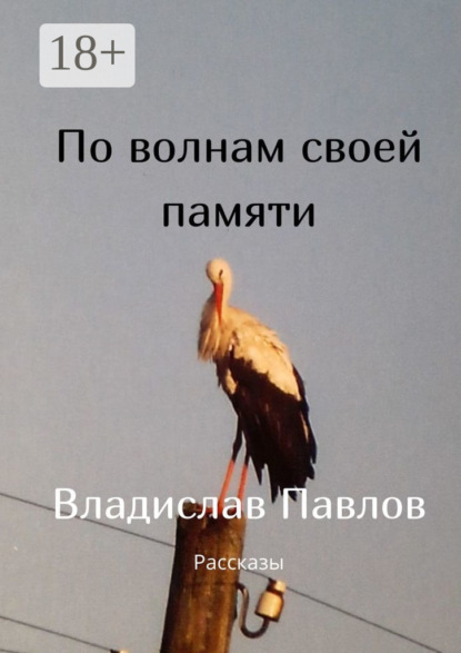 По волнам своей памяти. Рассказы