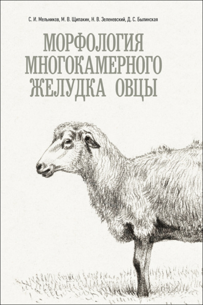 Скачать книгу Морфология многокамерного желудка овцы