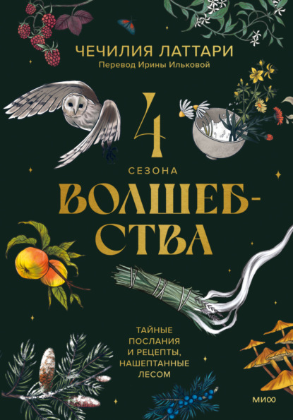 Скачать книгу 4 сезона волшебства. Тайные послания и рецепты, нашептанные лесом