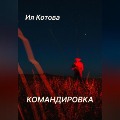 Скачать книгу Командировка