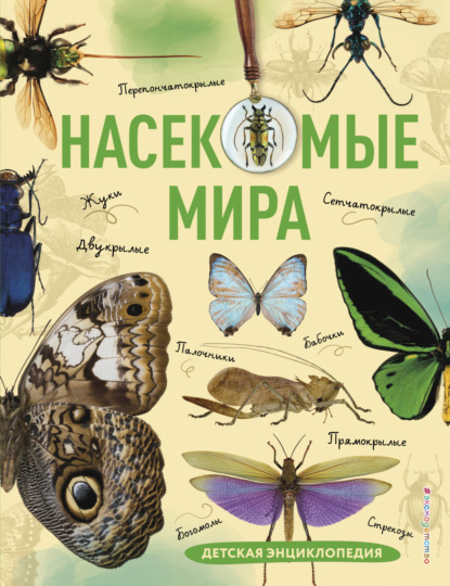 Скачать книгу Насекомые мира. Детская энциклопедия