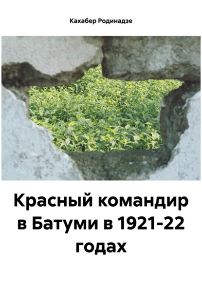 Скачать книгу Красный командир в Батуми в 1921-22 годах
