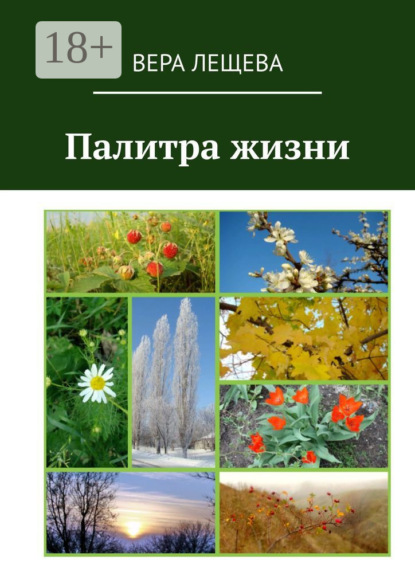 Скачать книгу Палитра жизни