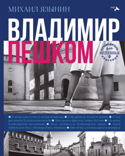 Скачать книгу Владимир пешком