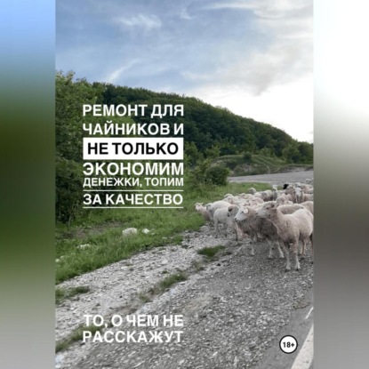 Скачать книгу Ремонт для чайников и не только. Экономим денежки, топим за качество. Гайд