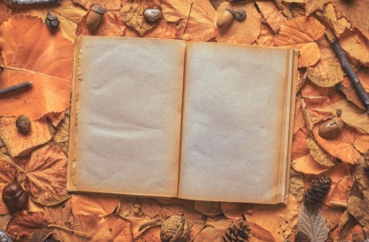 Скачать книгу Сказки Братьев Гримм и их герои