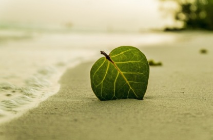 Скачать книгу Голландские сказки