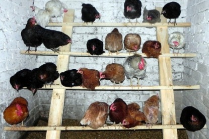 Скачать книгу Антоний Погорельский - "Чёрная курица, или Подземные жители"