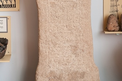 Скачать книгу Хелена Нюблум - "Подменыши"