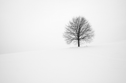 Скачать книгу Саша Черный "Серебряная елка", Рахиль Баумволь "Синяя варежка", Самуил Маршак "12 месяцев