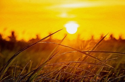 Скачать книгу Сказка "Солнышко и снежные человечки"