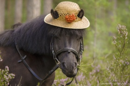 Скачать книгу Итальянские народные сказки - часть 2