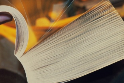 Скачать книгу Дмитрий Мамин-Сибиряк "Про славного царя Гороха и его прекрасных дочерей". Часть 3