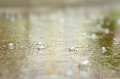 Скачать книгу Саша Черный - "В дождливый день" и "Патентованная краска"