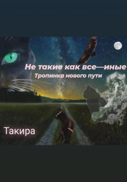 Скачать книгу Не такие, как все – иные. Тропинка нового пути