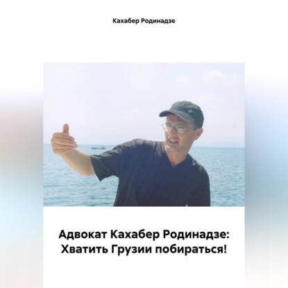 Скачать книгу Адвокат Кахабер Родинадзе: Хватить Грузии побираться!