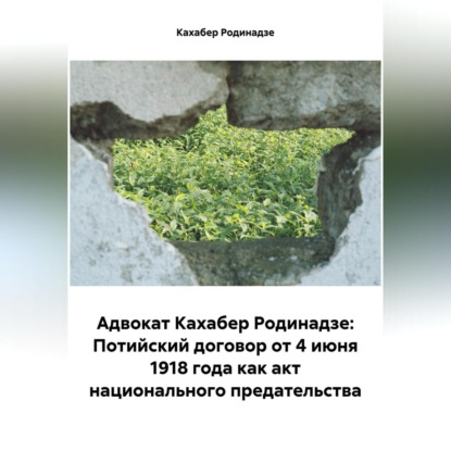Скачать книгу Адвокат Кахабер Родинадзе: Потийский договор от 4 июня 1918 года как акт национального предательства