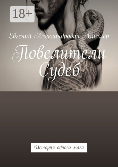 Скачать книгу Повелители Судеб. История одного мага