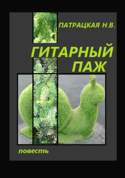 Скачать книгу Гитарный паж