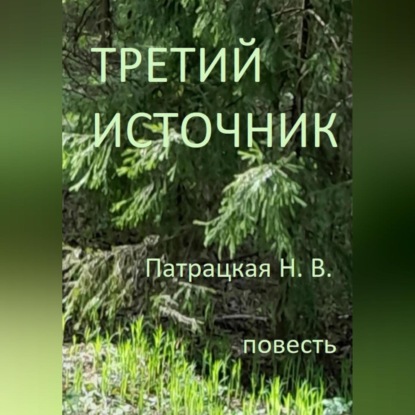 Скачать книгу Третий источник
