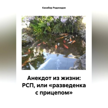 Скачать книгу Анекдот из жизни: РСП, или «разведенка с прицепом»