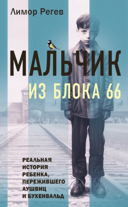 Скачать книгу Мальчик из Блока 66. Реальная история ребенка, пережившего Аушвиц и Бухенвальд