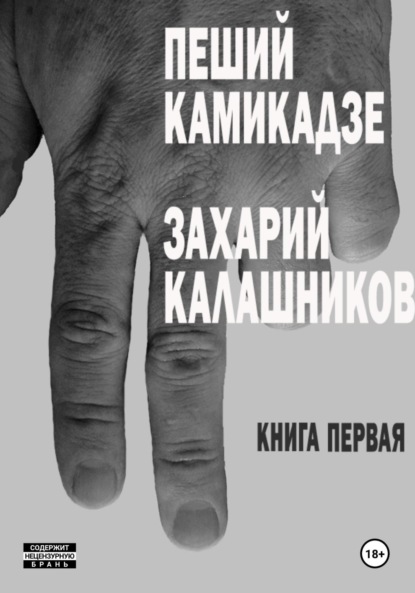 Скачать книгу Пеший камикадзе. Книга первая