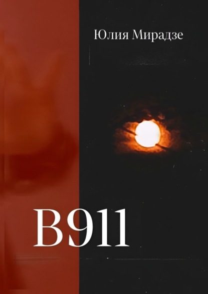 Скачать книгу В911