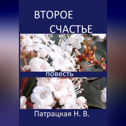 Скачать книгу Второе счастье