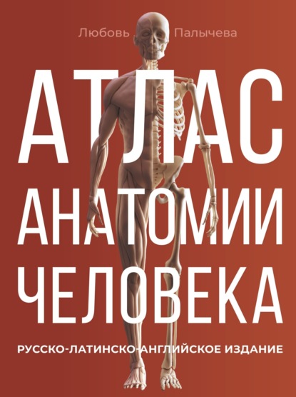Скачать книгу Атлас анатомии человека. Русско-латинско-английское издание