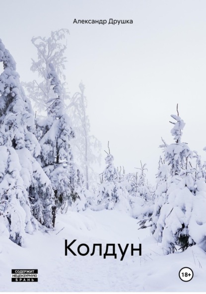 Скачать книгу Колдун