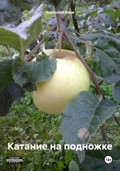 Скачать книгу Катание на подножке