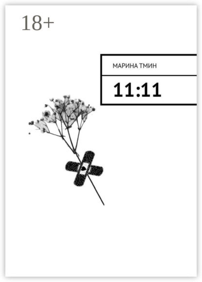 Скачать книгу 11:11