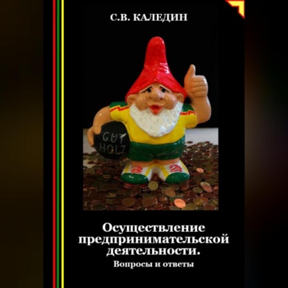 Скачать книгу Осуществление предпринимательской деятельности. Вопросы и ответы