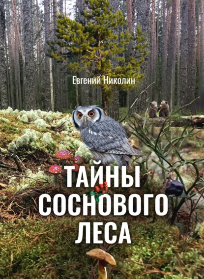 Скачать книгу Тайны соснового леса