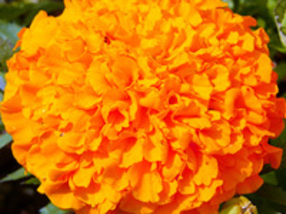 Скачать книгу Помни, что сделал тебе Амалек