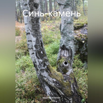 Скачать книгу Синь-камень