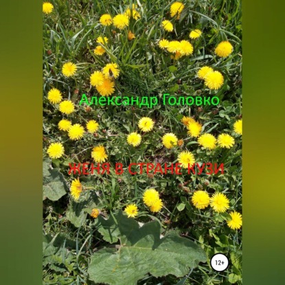 Скачать книгу Женя в стране Кузи