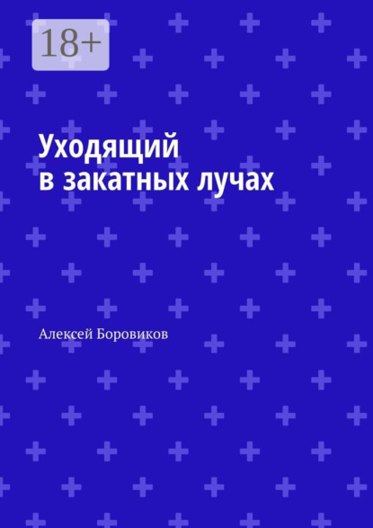Уходящий в закатных лучах