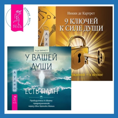 Скачать книгу 9 ключей к силе души. От заблуждений – к истине + У вашей души есть план. Пробудитесь к своему предназначению через свои Хроники Акаши