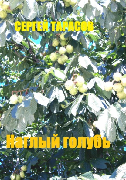 Скачать книгу Наглый голубь