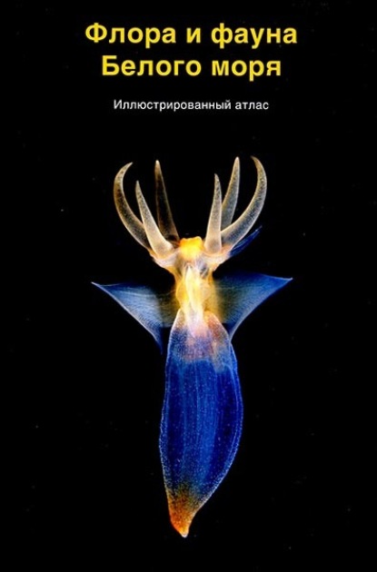 Скачать книгу Флора и фауна Белого моря
