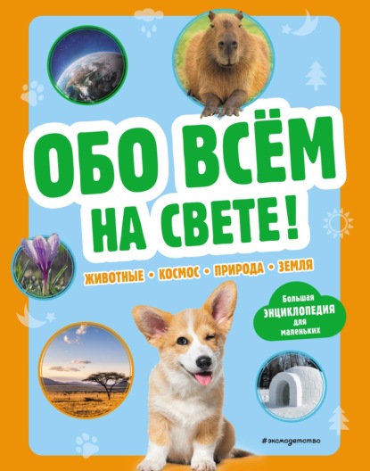 Скачать книгу Обо всём на свете! Большая энциклопедия для маленьких