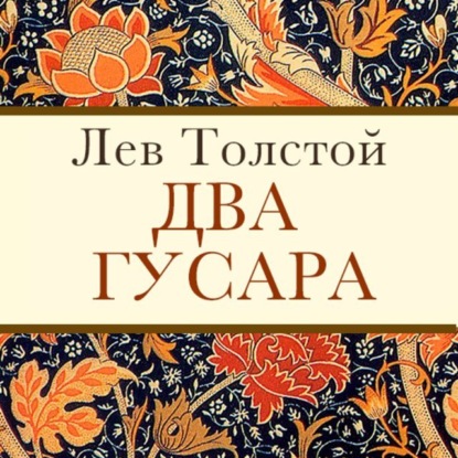 Скачать книгу Два гусара
