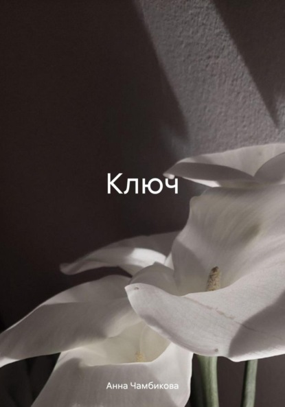 Скачать книгу Ключ